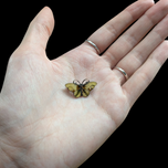 Hroar Pryza Yellow Guilloche Enamel Butterfly Brooch