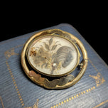 Antique Gold Filled Victorian Hair / Mourning Brooch / Seed Pearls