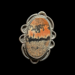 Sterling Silver Petrified Wood Ring Navajo Size 7 3/4