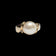 14K Yellow Gold Bezel Set Cultured Pearl & Diamond Ring Size 6