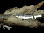 Antique Sterling Silver Lucky Grouse Foot Brooch / Kilt Pin with Foil Back Purple Paste Stone