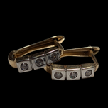 10K Yellow Gold CZ Earrings With White Gold Face Lever Backs