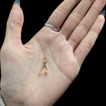 14K Yellow Gold and Pearl Wishbone Charm