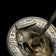 Sterling Silver US 1908 Quarter Lady Liberty Hat Pin - Repousse Pop out 3-D