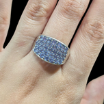 14K White Gold & Faceted Tanzanite Pave Ring