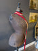 Antique French Wasp Waist Mannequin