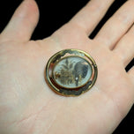Antique Gold Filled Victorian Hair / Mourning Brooch / Seed Pearls