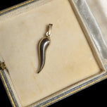 10K Yellow Gold Italian Cornicello Lucky Charm