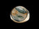 14K Yellow Moss Agate Oval Cabochon Ring Size 8 1/4