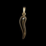 10K Yellow Gold Italian Cornicello Lucky Charm