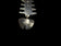 Sterling Silver Mexico Fish Bone Articulating Earrings