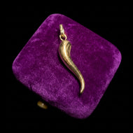 10K Yellow Gold Cornicello Charm / Pendant