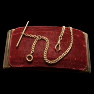 Yellow Gold Albert Watch Chain with Curb Link, T-Bar, & Swivel Dog Clip Clasp