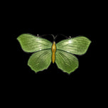 Sterling Silver Green Enamel Butterfly Brooch Signed HG