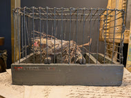 Taxidermied Bird "Delichon" in Cage