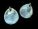 Large Sterling Silver Bear Paw Turquoise Stud Earrings
