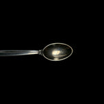 Vintage Georg Jensen Denmark Acanthus Tea Spoon with Pouch