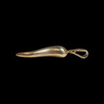 10K Yellow Gold Italian Cornicello Lucky Charm