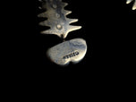Sterling Silver Mexico Fish Bone Articulating Earrings