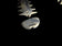 Sterling Silver Mexico Fish Bone Articulating Earrings