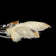 Metal Stag Head Orange Citrine Glass / Paste Stone Grouse Foot Brooch / Kilt Pin