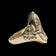 10K Yellow Gold Cameo Ring Scrollwork Accents Size 6