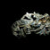 Antique 1908 Pearce & Thompson Edwardian Era Seasons Greetings Handshake Brooch Sterling Silver